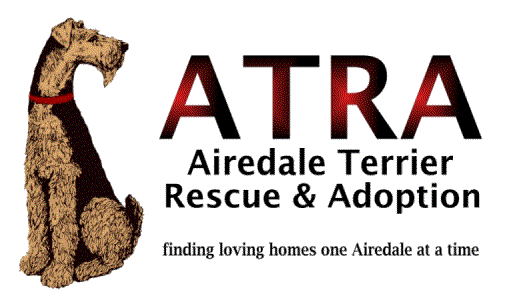 airedale terrier dogs for sale